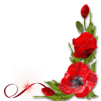 soave deco flowers corner poppy red green - png ฟรี