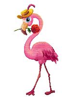 Ave Flamingo.....gif
