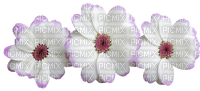 kukka fleur flower - png ฟรี
