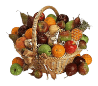 cesta frutas  dubravka4 - ücretsiz png