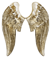 golden angel wings - png gratuito