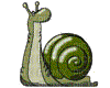Escargot.Snail.Caracol.gif.Victoriabea - Bezmaksas animēts GIF