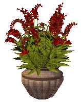 Bloemen en Planten - Gratis animeret GIF