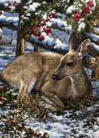 winder deer - Animovaný GIF zadarmo