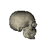 Tête de mort - 無料のアニメーション GIF