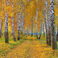 Осенний пейзаж - zdarma png