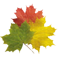 autumn_ leaves_automne_ feuille_BlueDREAM70 - zdarma png