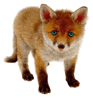 Kaz_Creations Fox - besplatni png