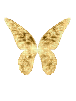 VanessaVallo _crea- gold fairy wings animated - GIF animado gratis