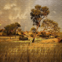 African background sunshine3 - Gratis geanimeerde GIF