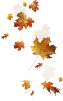 kikkapink deco autumn leaves orange falling - png gratis