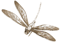 soave deco dragonfly sepia - ilmainen png