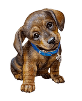 puppy - Free PNG