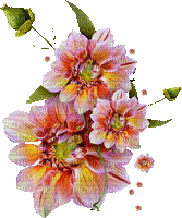 Blume, fleur, flower - Gratis animerad GIF