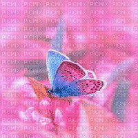 Papillon - GIF เคลื่อนไหวฟรี