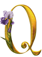 Lettre Q. Fleur - PNG gratuit