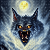Werwolf! - PNG gratuit