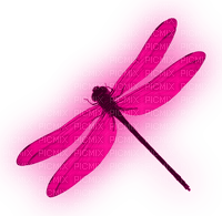 Dragonfly.Pink - besplatni png