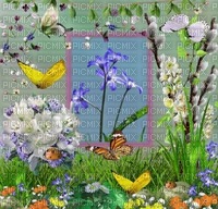 spring_summer background - png gratuito