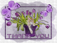MMarcia gif cat fleur  thank you mercy - Бесплатный анимированный гифка