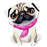 kikkapink dog pug watercolor animal winter - ücretsiz png
