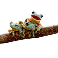 frog - Free PNG