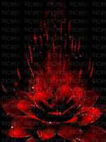 fond rose rouge - GIF animado gratis