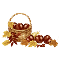 autumn automne herbst deco milla1959 - Free PNG