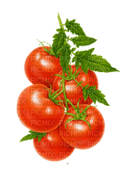 kikkapink summer tomato tomatoes - δωρεάν png