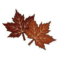 Leaf  Autumn - Bogusia - GIF animate gratis
