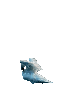 Птицы - 免费动画 GIF
