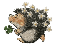 patch picture hedgehog - ücretsiz png