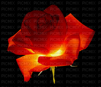 rózsa, rose - GIF animado grátis
