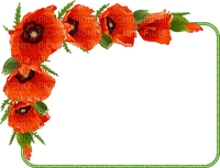 Poppies  frame - PNG gratuit