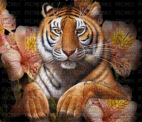 tiger - Animovaný GIF zadarmo