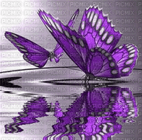 Borboletas - Bezmaksas animēts GIF