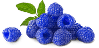 fruit bp - Free PNG