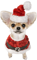 Kaz_Creations Christmas Dogs Dog Pup - zdarma png
