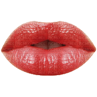 Lips dm19 - 無料のアニメーション GIF