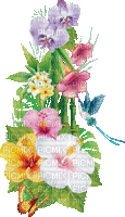 soave deco summer animated  flowers tropical - Kostenlose animierte GIFs