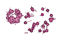 fet s34 rose pink - Безплатен анимиран GIF