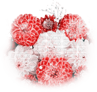 soave deco flowers  Chrysanthemums pink white - δωρεάν png
