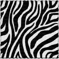 zebra milla1959 - GIF animé gratuit