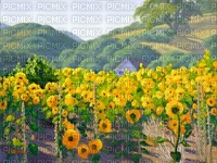 fond peinture artistic background painting - zdarma png