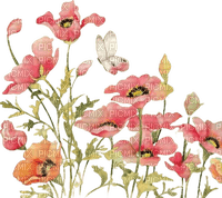 loly33 coquelicot papillon - Free PNG