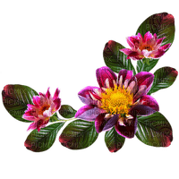 цветы - zadarmo png