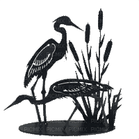 crane birds bp - Animovaný GIF zadarmo