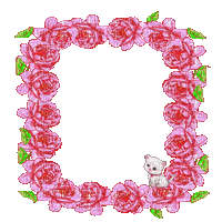 pink roses frame with a cat - Gratis animeret GIF