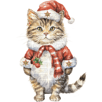 cat christmas red animal cute holiday - PNG gratuit
