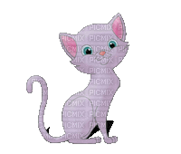cat schlappi50 - Безплатен анимиран GIF